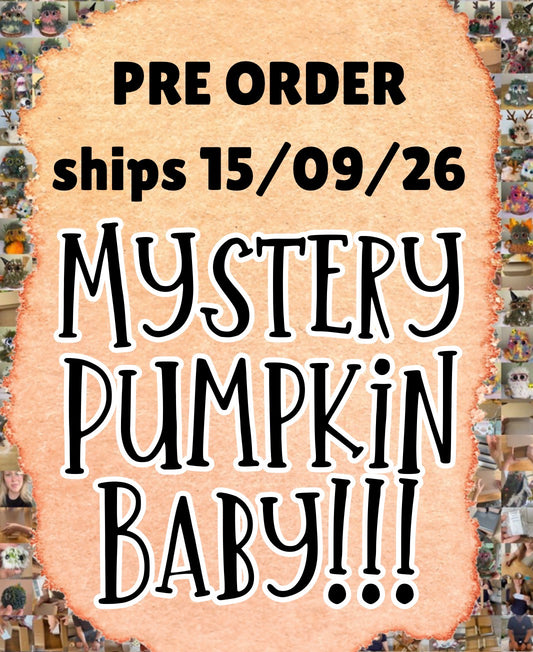 !PRE ORDER! Mystery Pumpkin Baby!